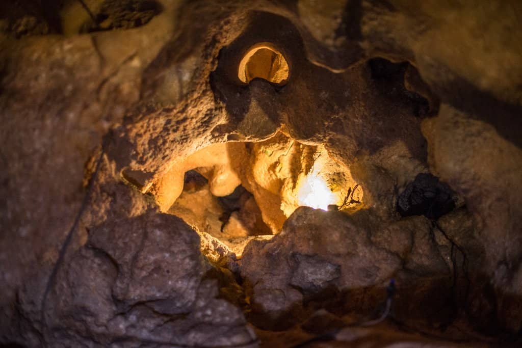 Educational Experience