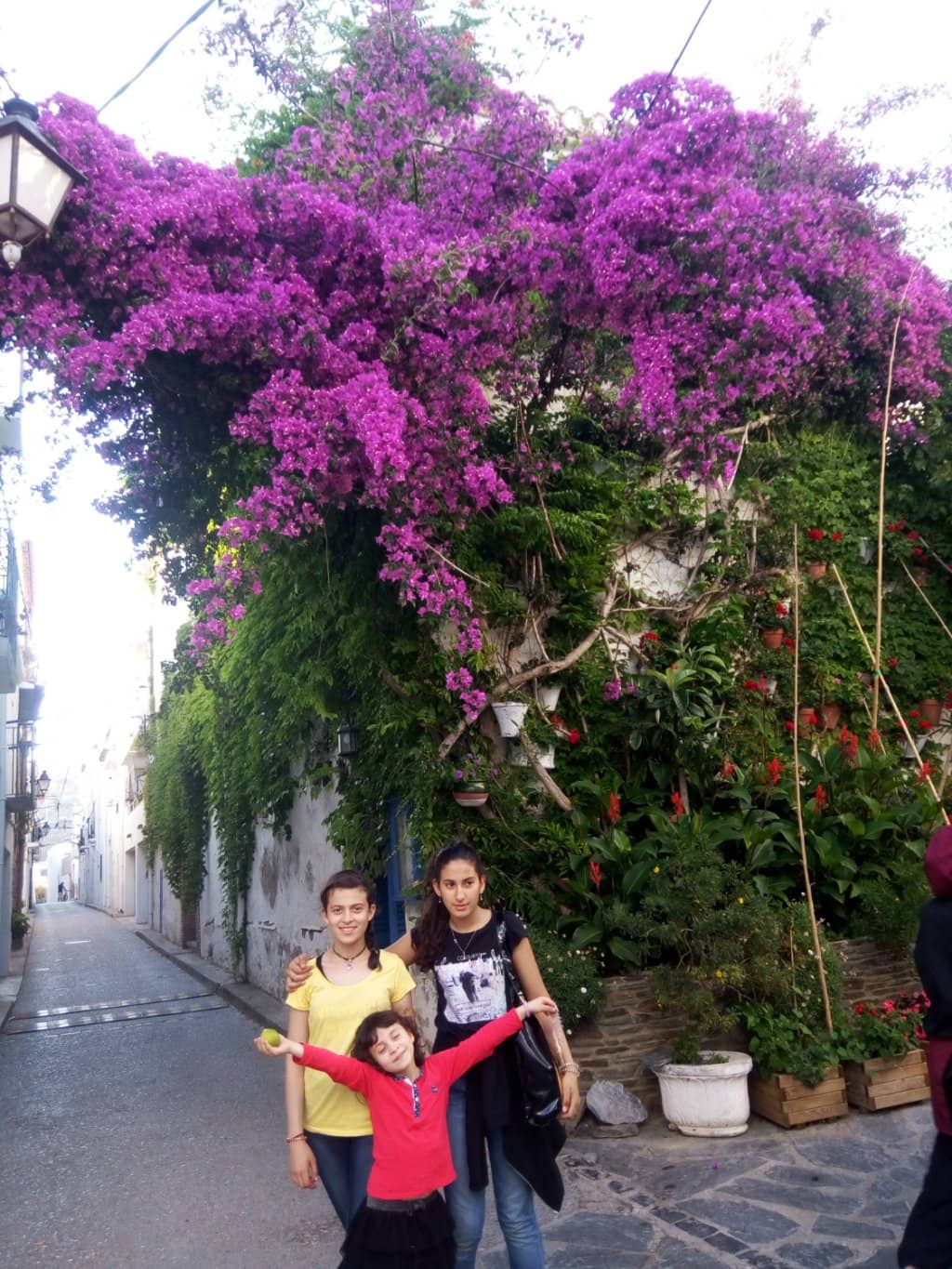 Magical Live Piano Music