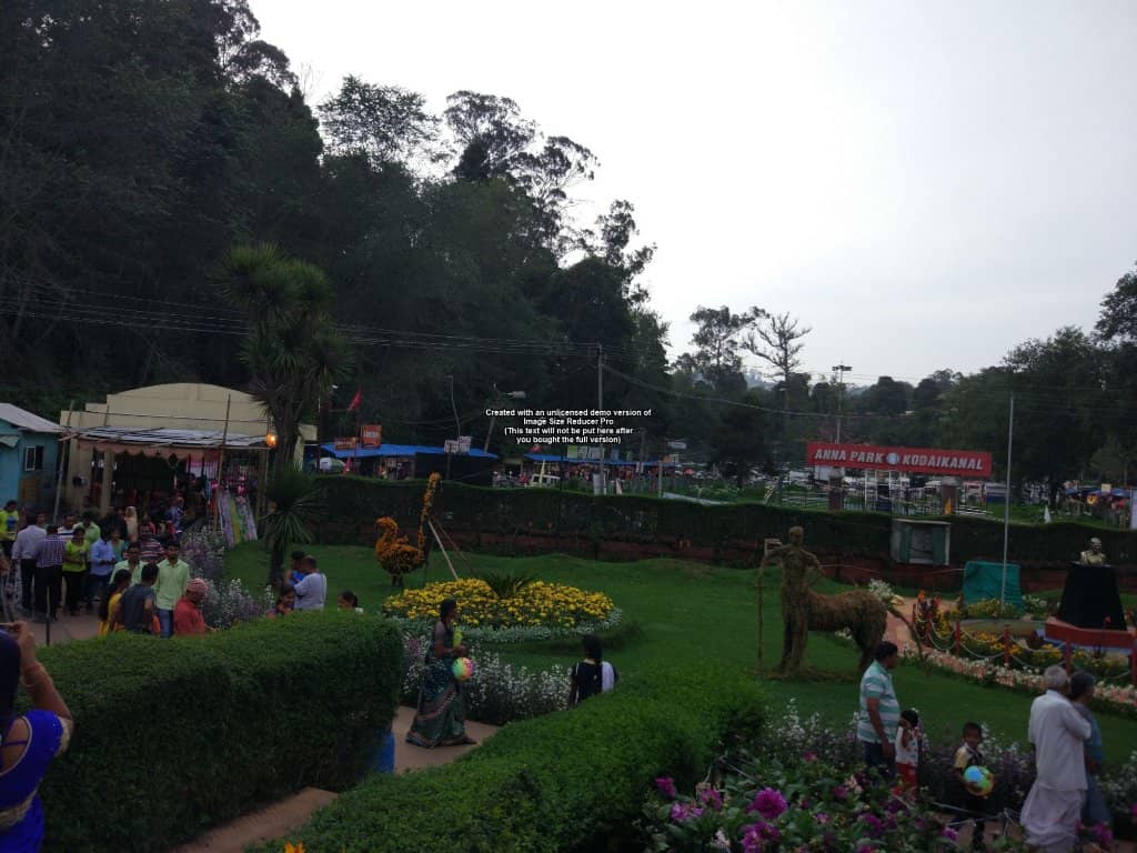 Winter Village & Ice Rink