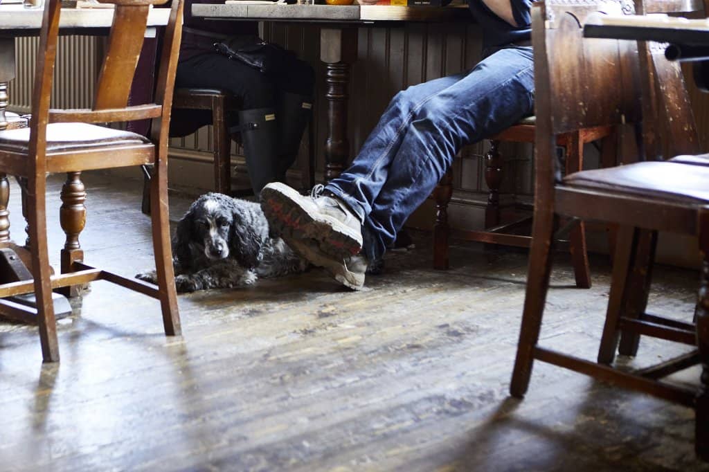 Local Brews and Cocktails