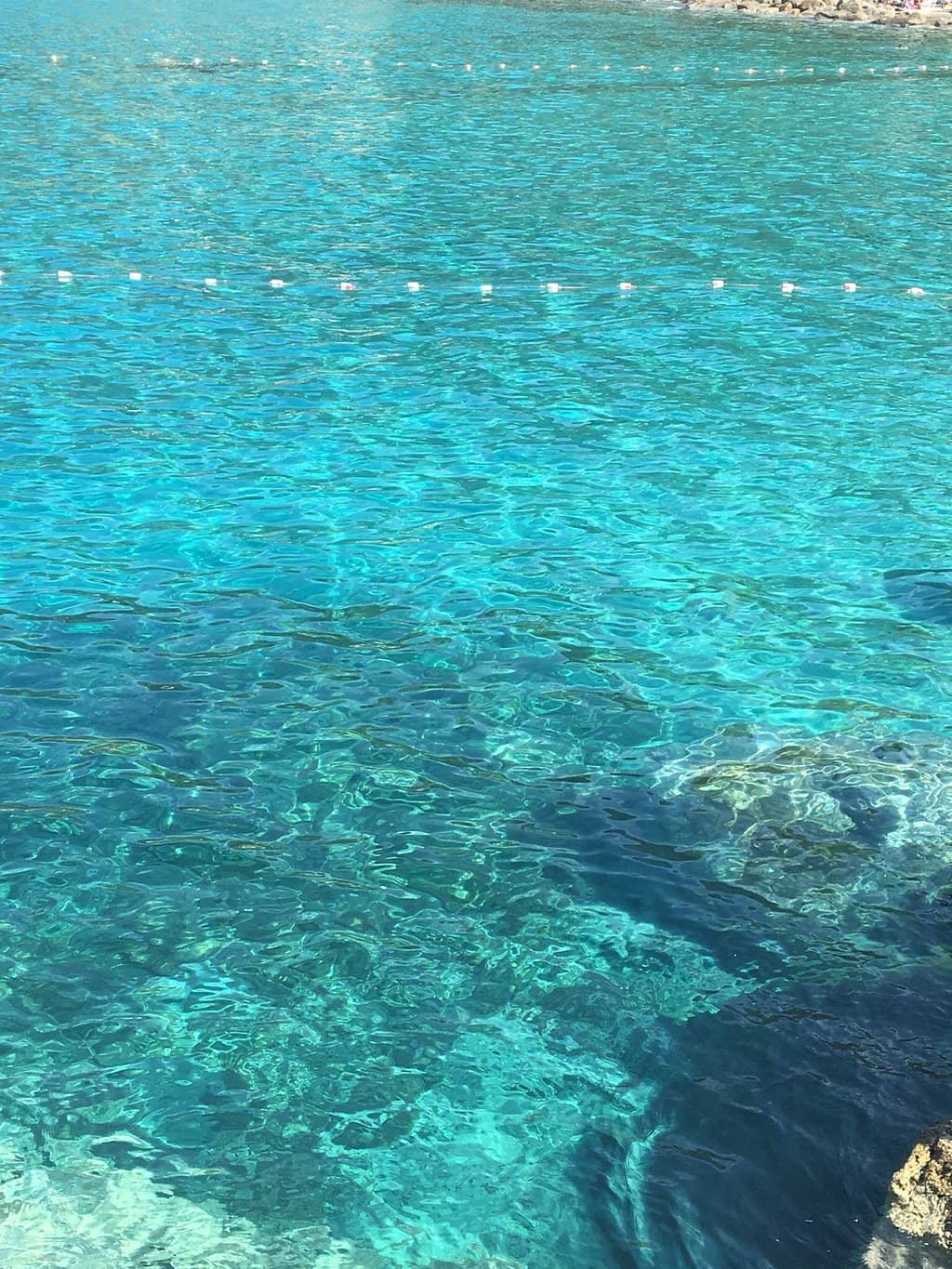 Crystal Clear Waters