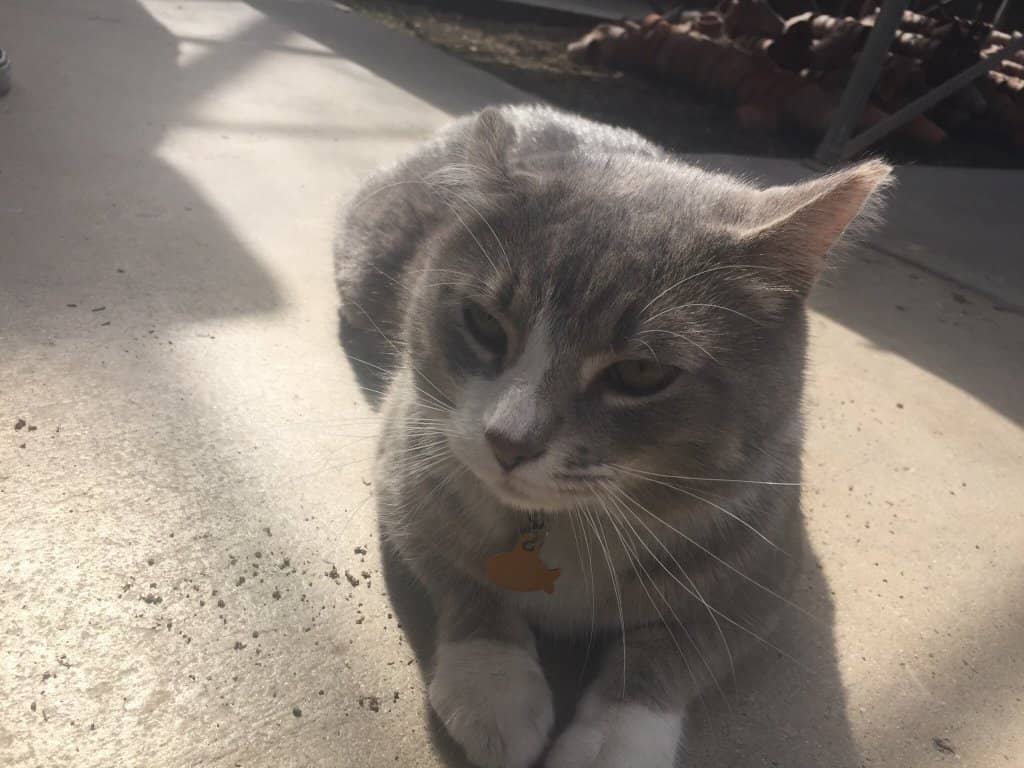 Convenient On-Site Amenities