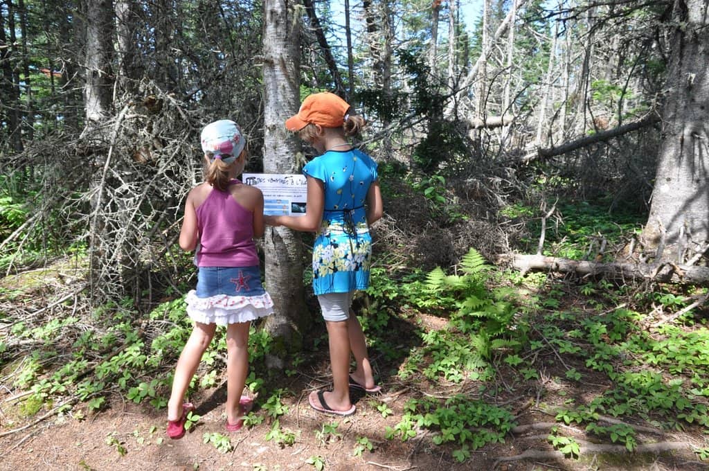 Wildlife Sightings