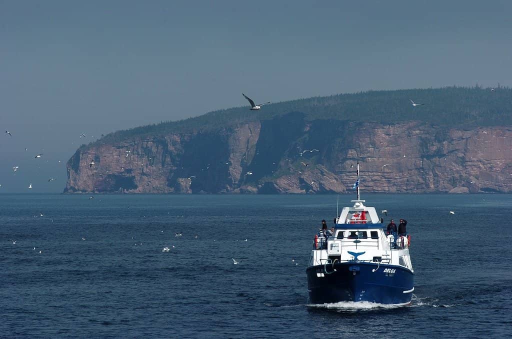 Percé Rock