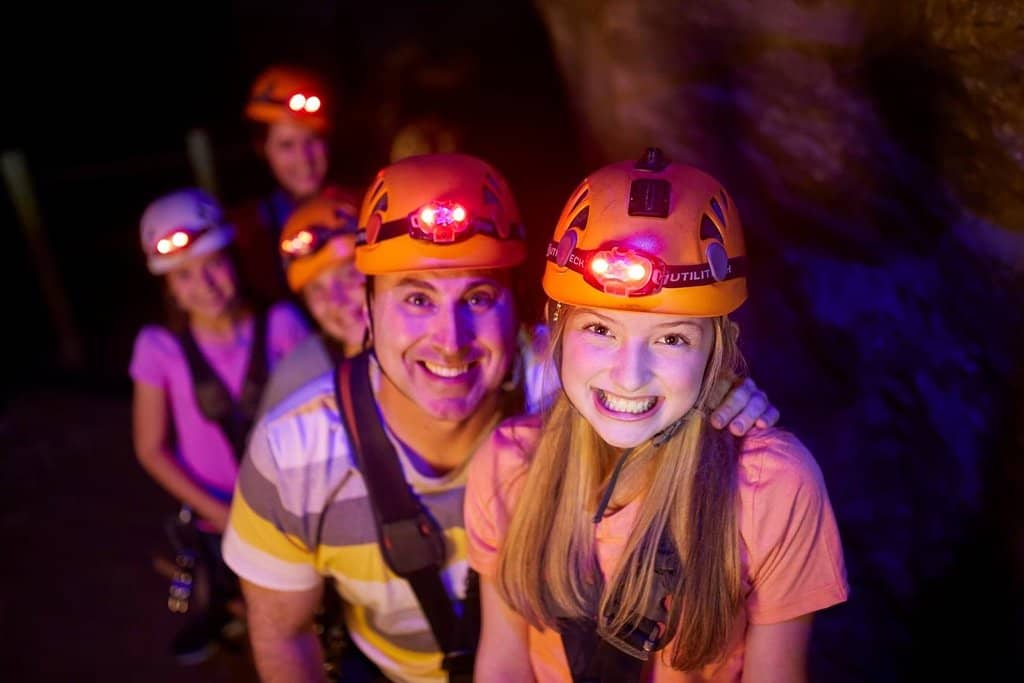 Dinos Under Louisville