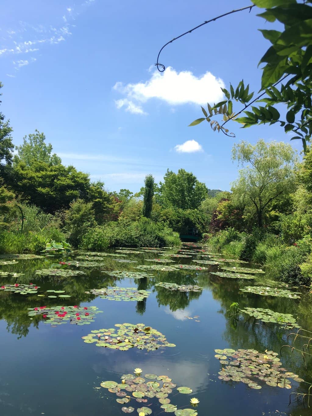 Flower Garden