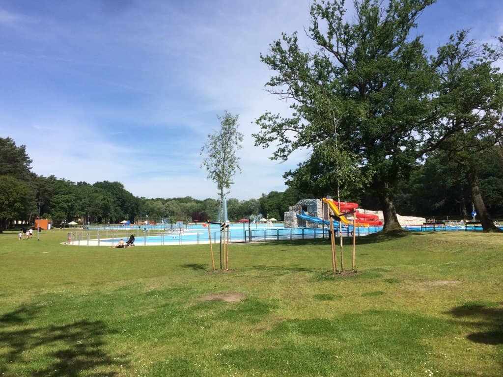 Barbecue & Recreation