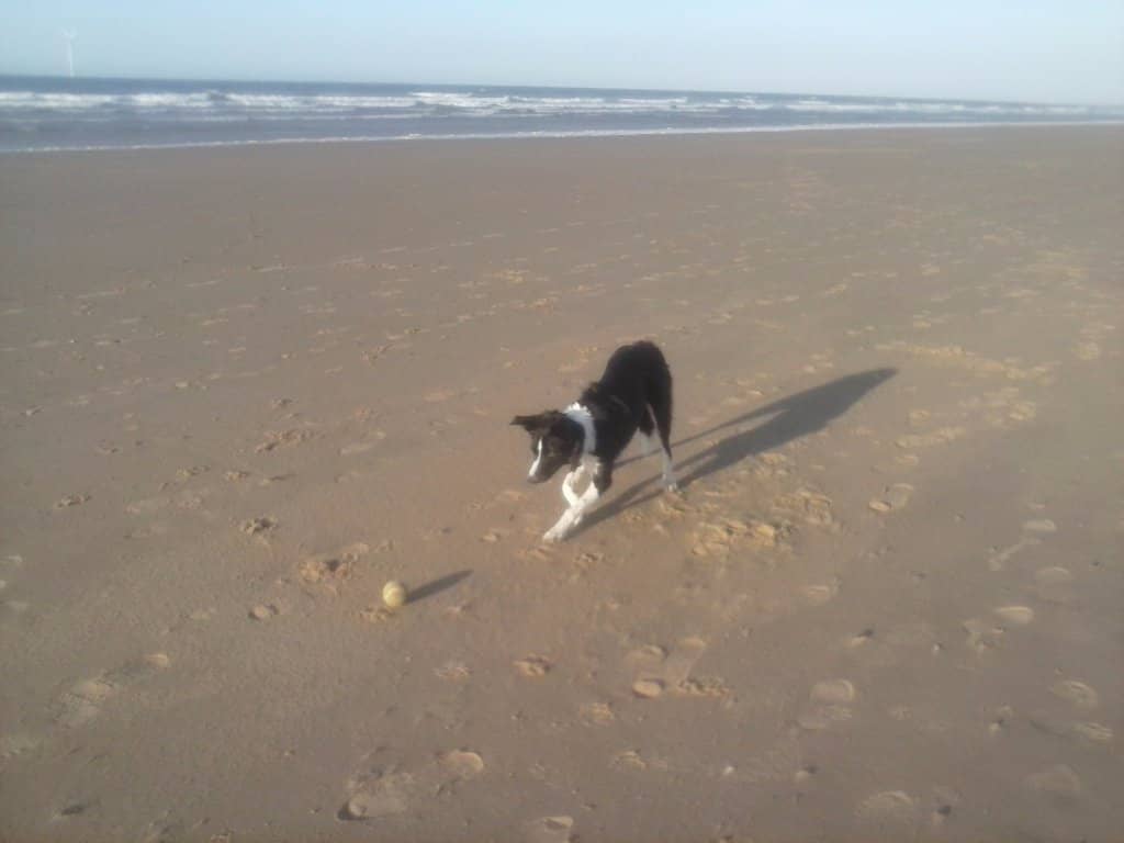 Sunrise and Sunset Views