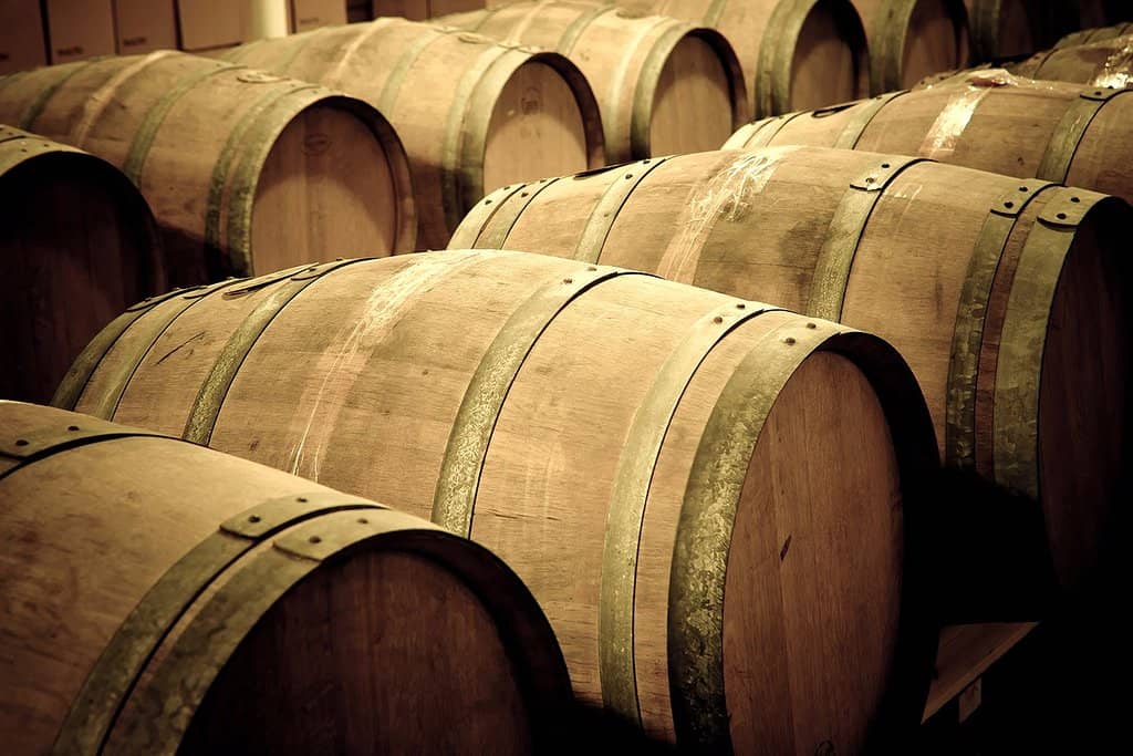 Scenic Vineyard Views