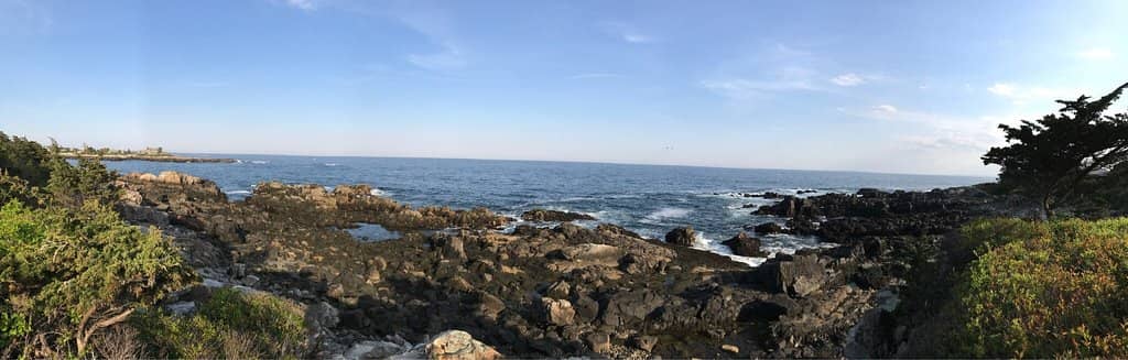 Bush Compound