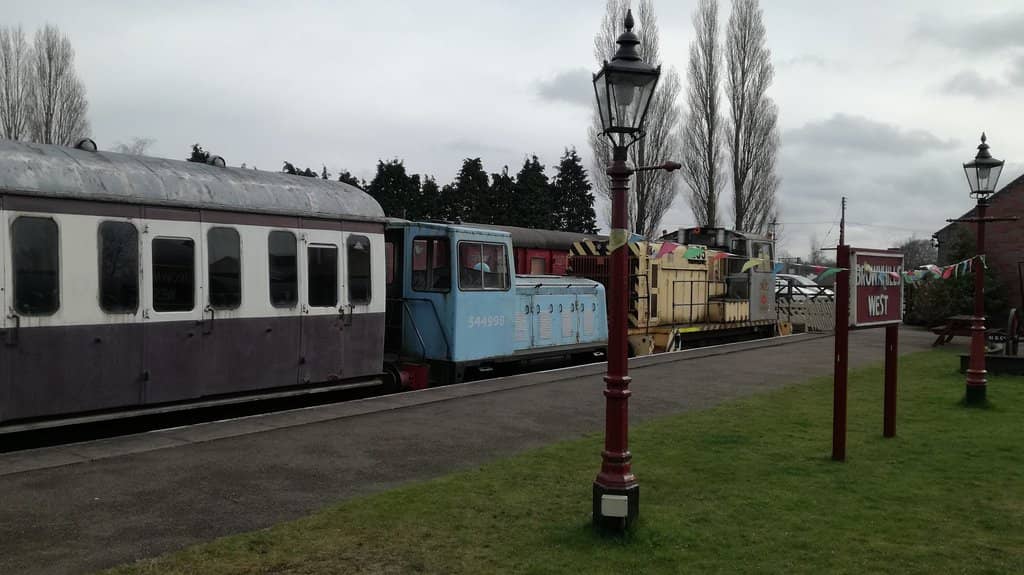 Fallow Deer Spotting
