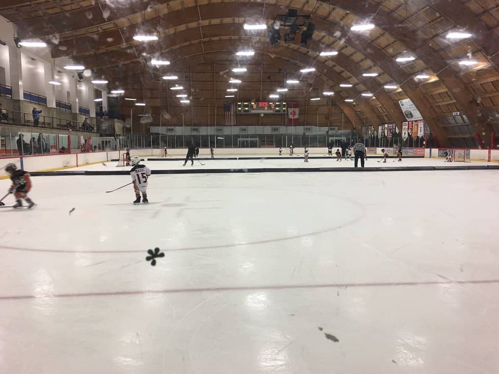 Public Ice Skating