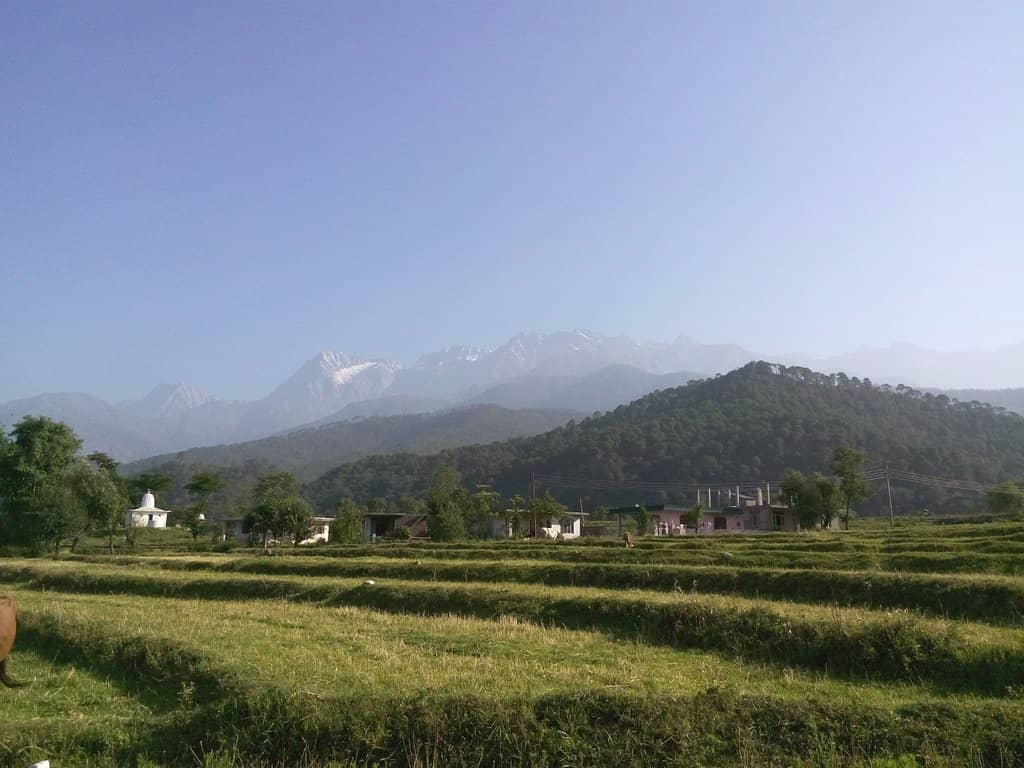 Wah Tea Estate