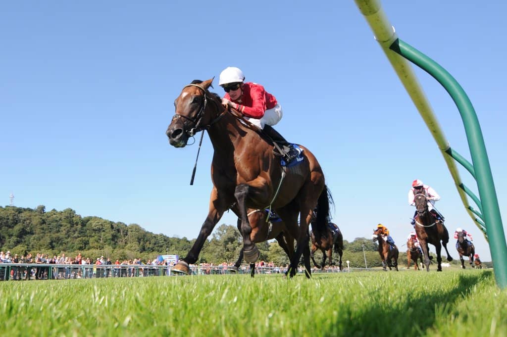 The Thrill of the Race