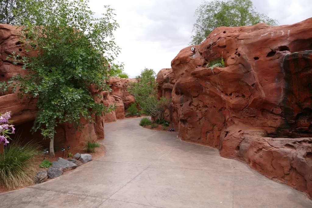 Dinosaur Tracks