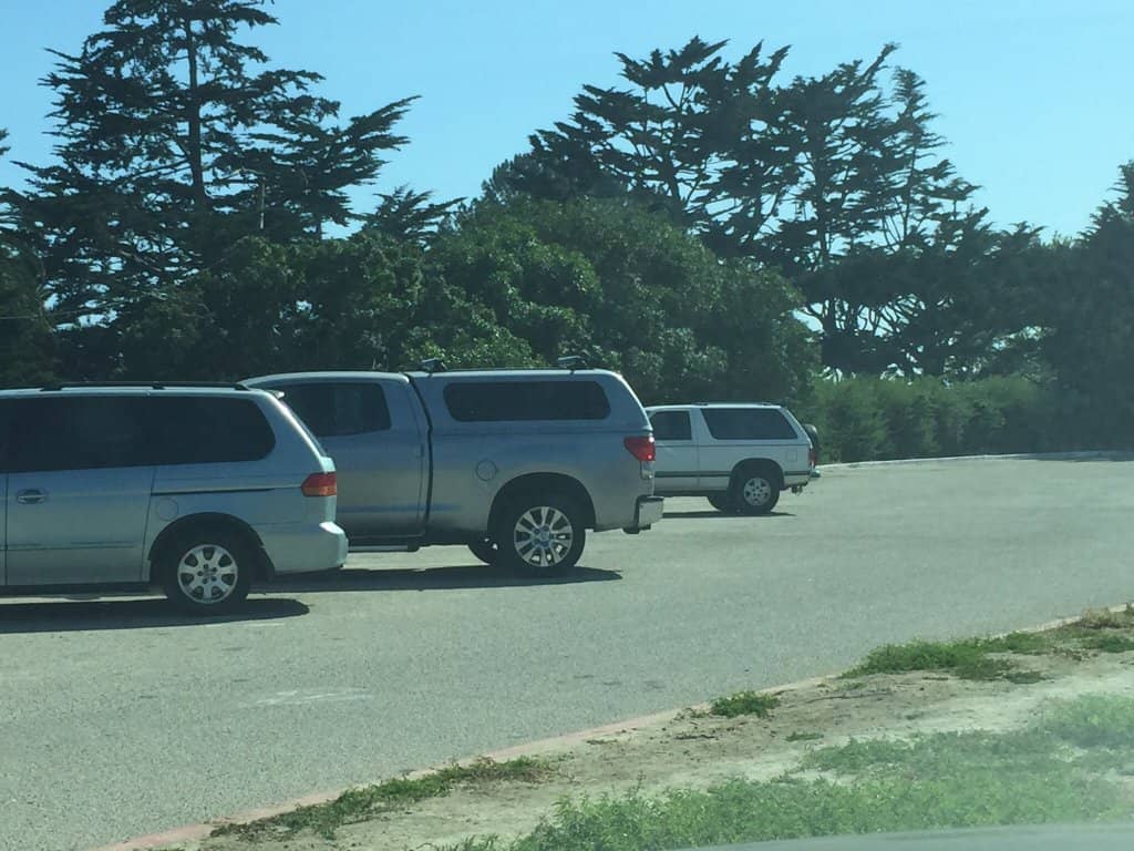 Artistic Inspiration