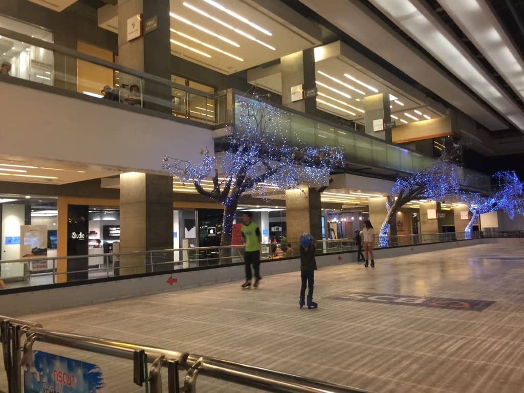 Professional Skating Lessons