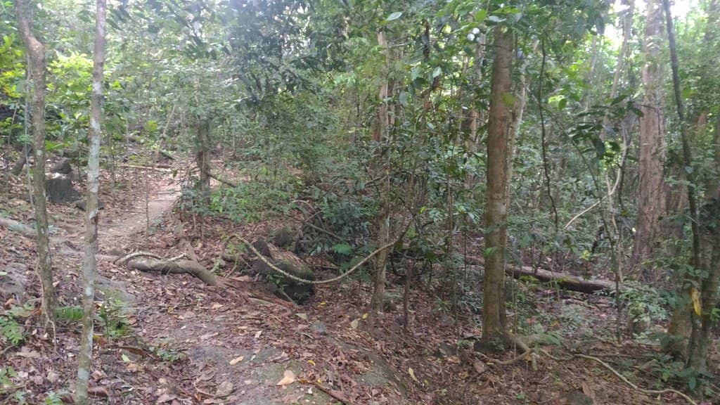 The Road to IKN
