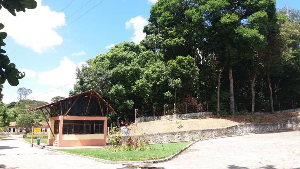 Rare Plant and Fauna Spotting