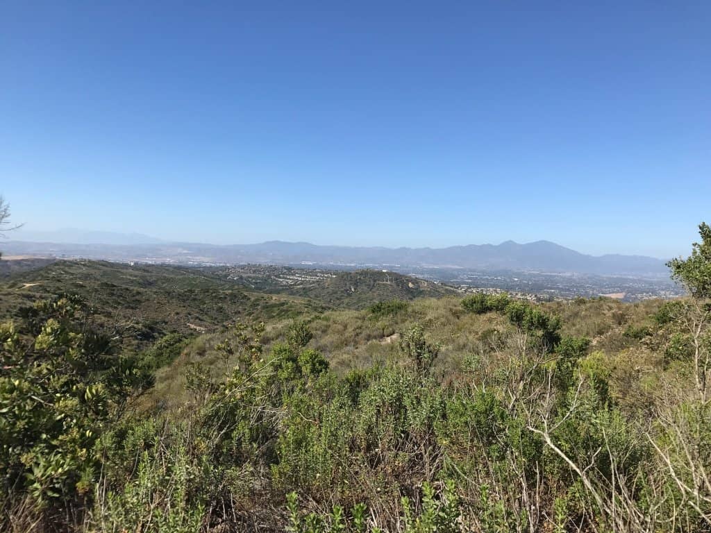 Multipurpose Sports Fields