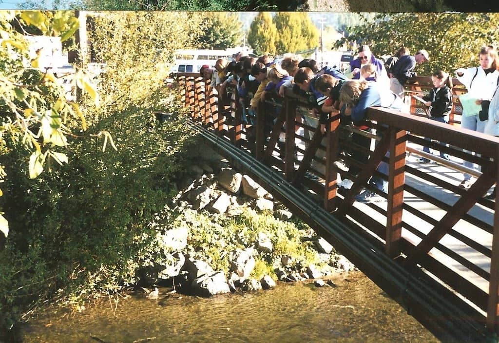Vertical photo