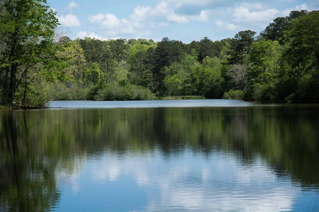 Wooded Hiking Trails
