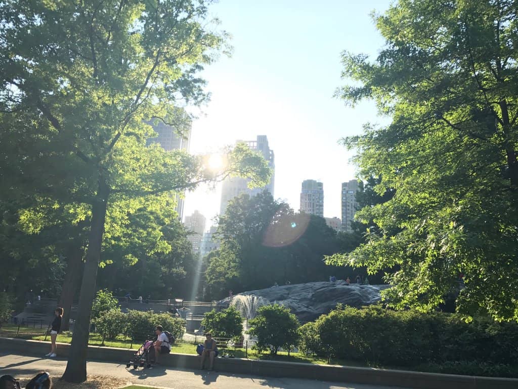 Engaging Toddler Zone