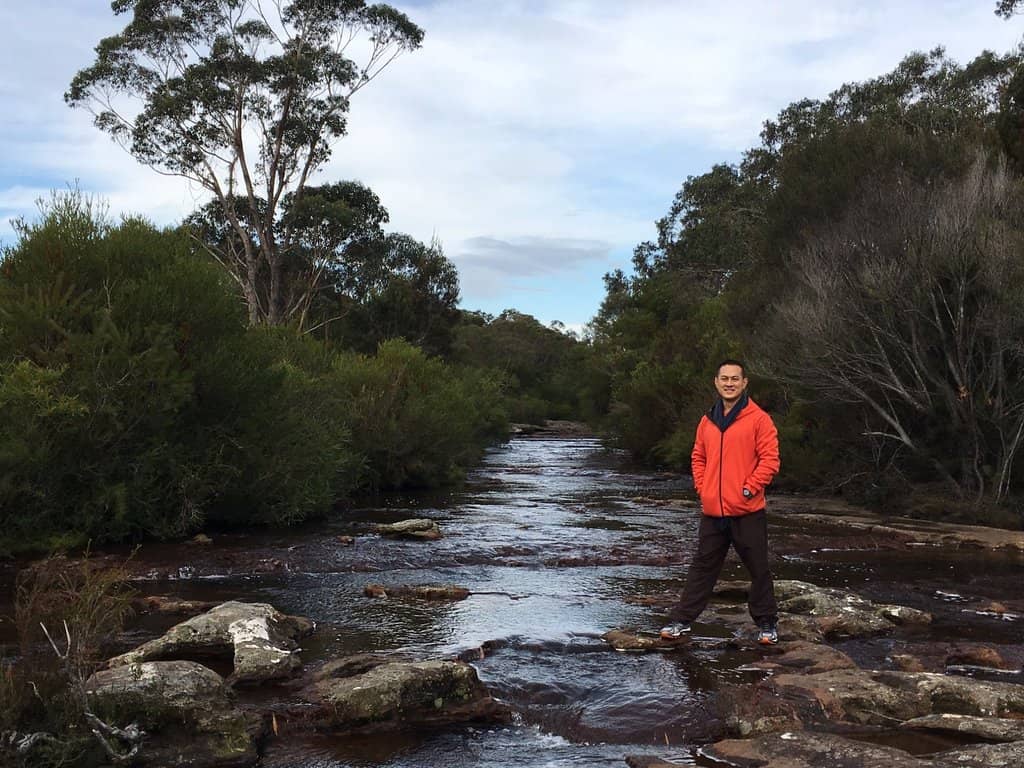 O'Hares Creek Lookout