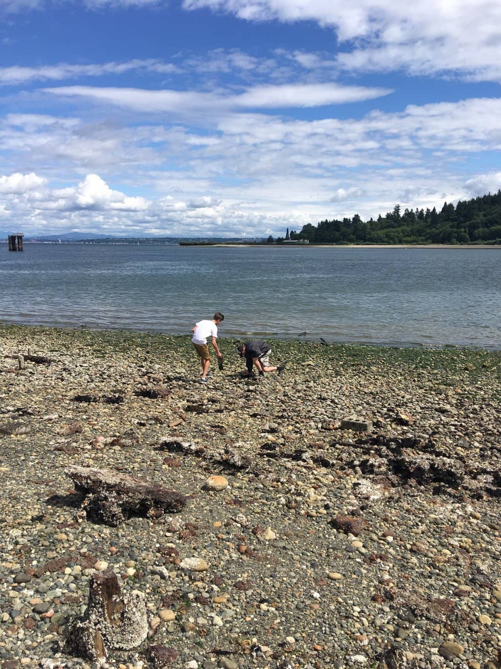 Beachfront Trail