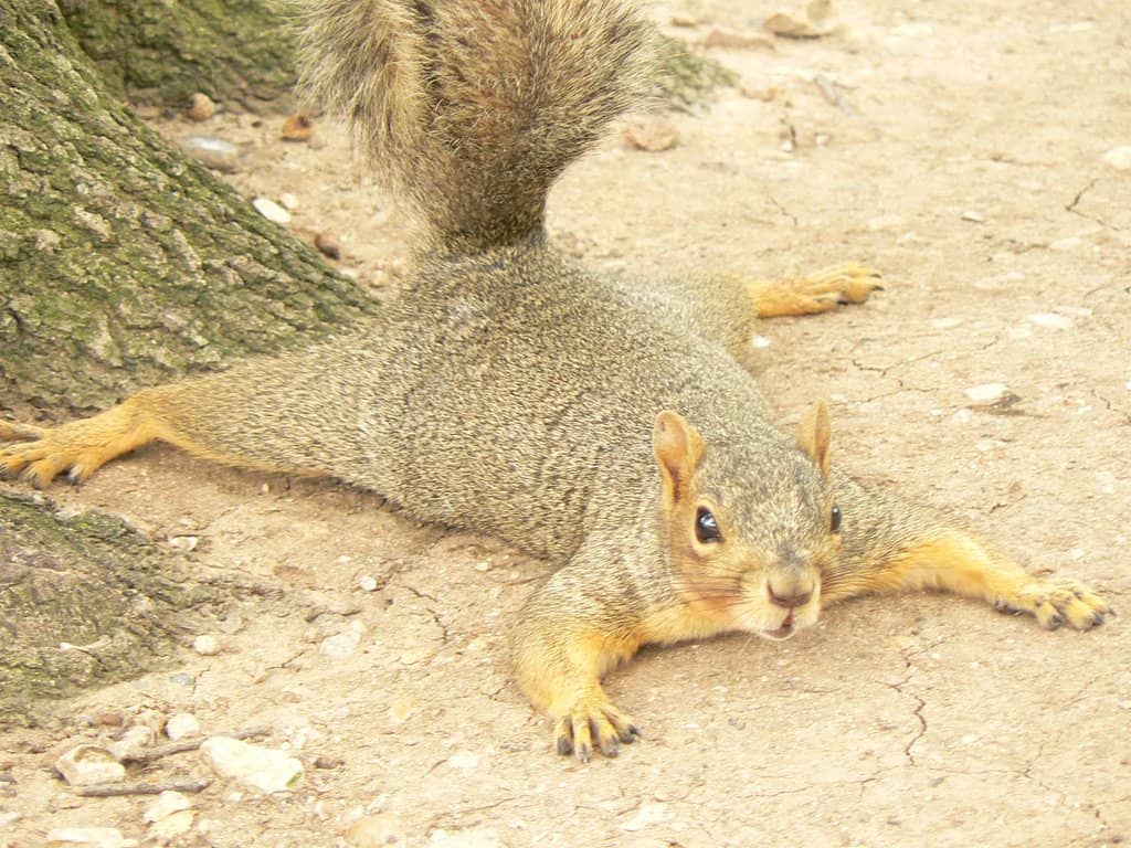 Bike Trail Exploration
