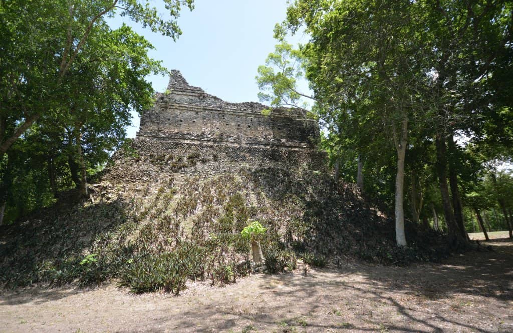 Remote Jungle Setting