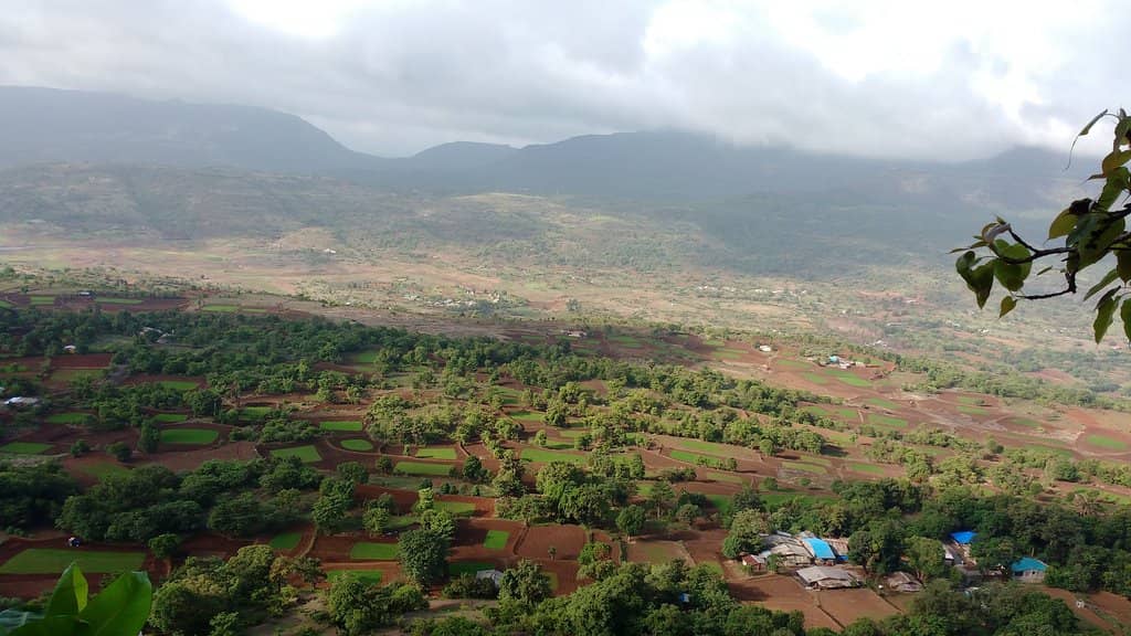 Panoramic Views from the Peak