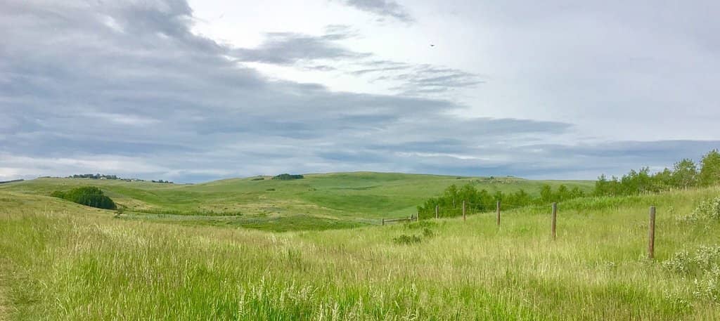 Bow River Valley