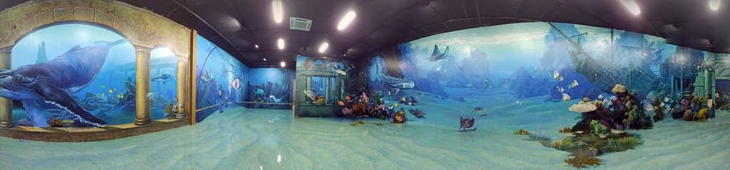 Family Fun Zone