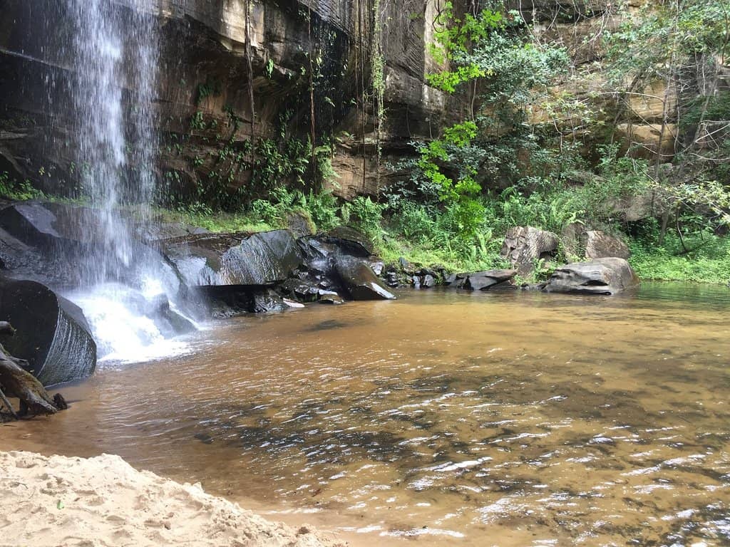 Vertical photo