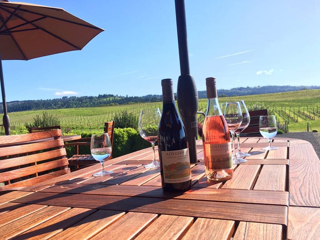 Vineyard Views