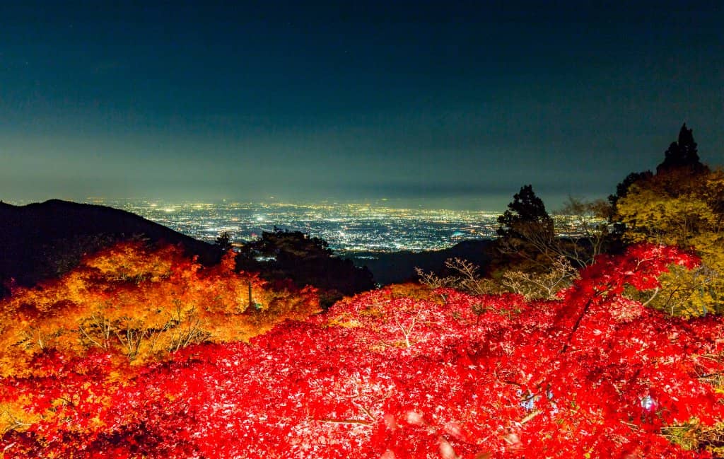 Panoramic Views