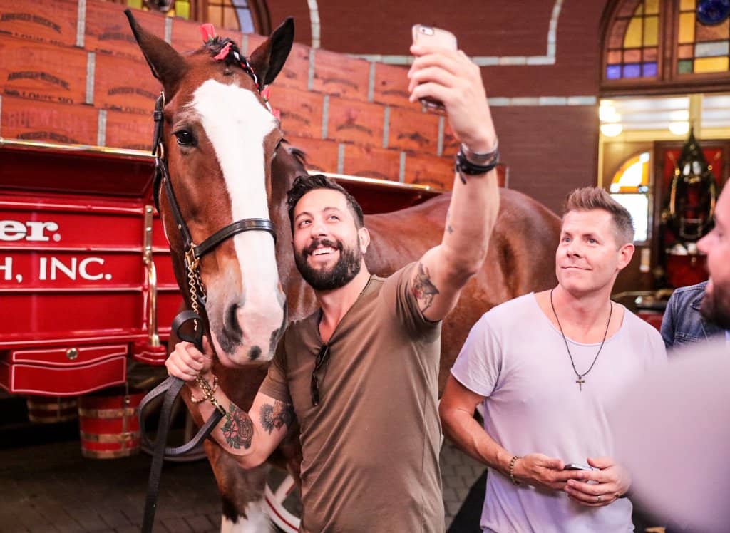 Holiday Lights Spectacle