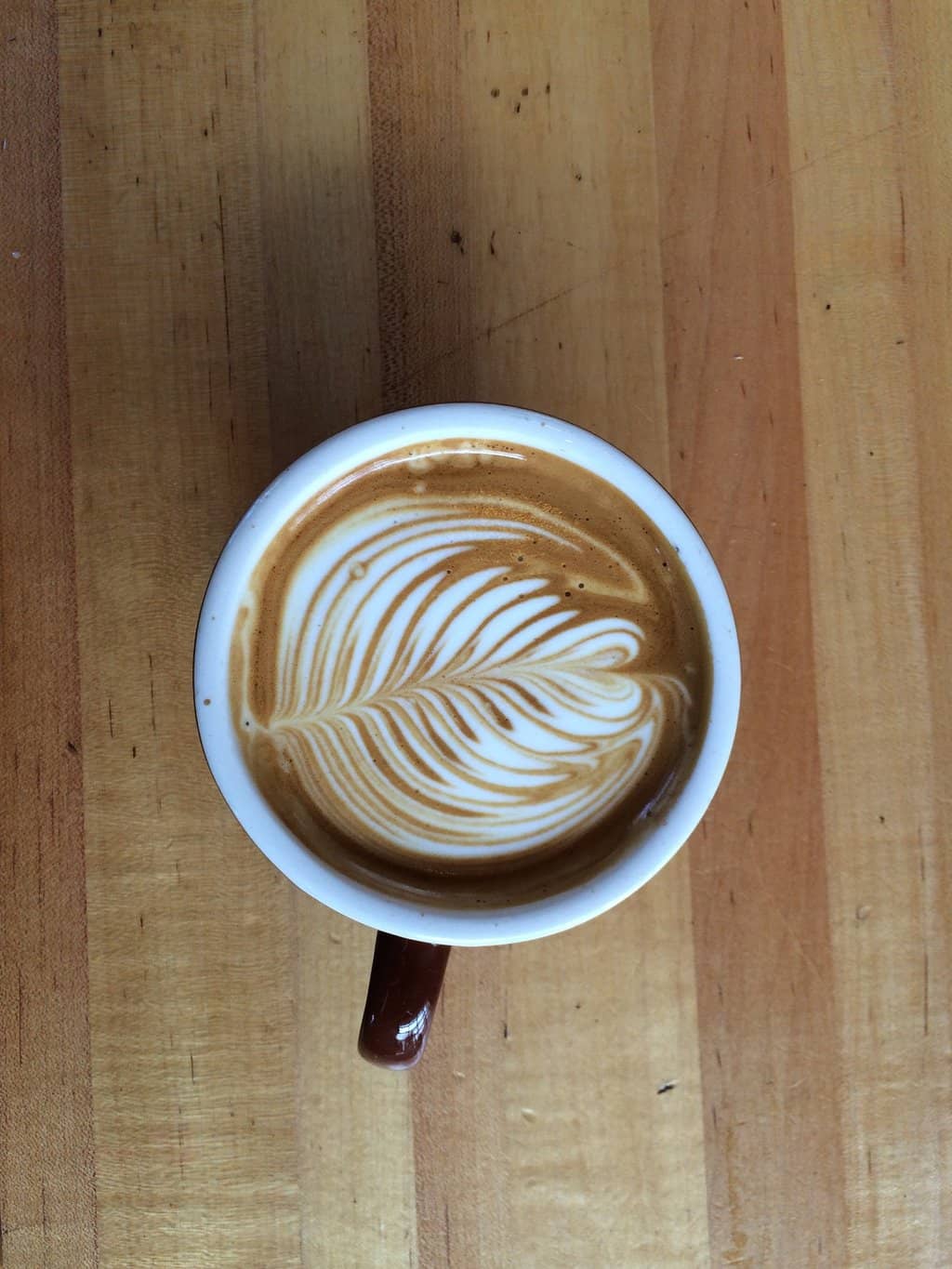 Artisanal Coffee & Specialty Drinks