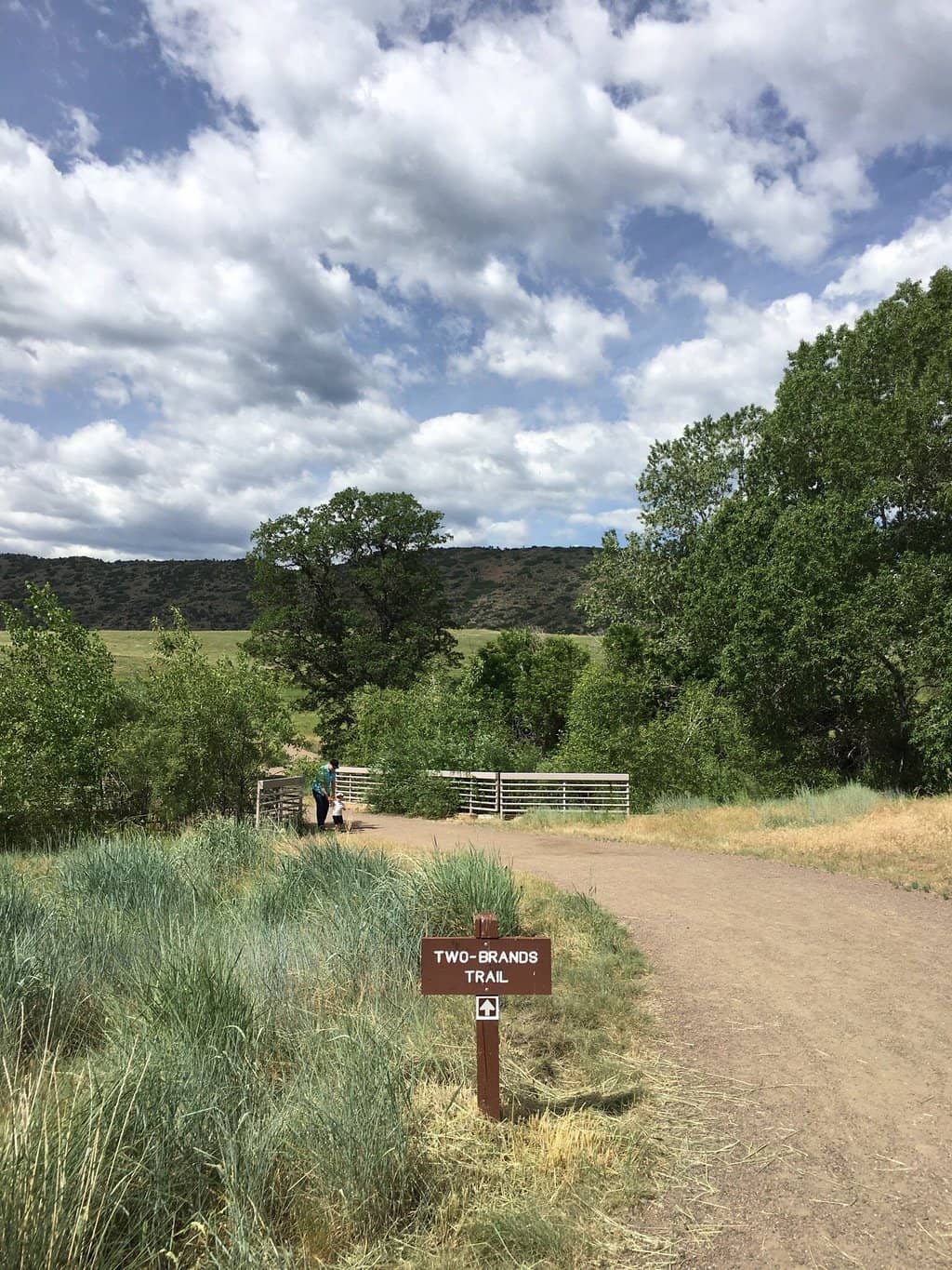 Black Bear Trail