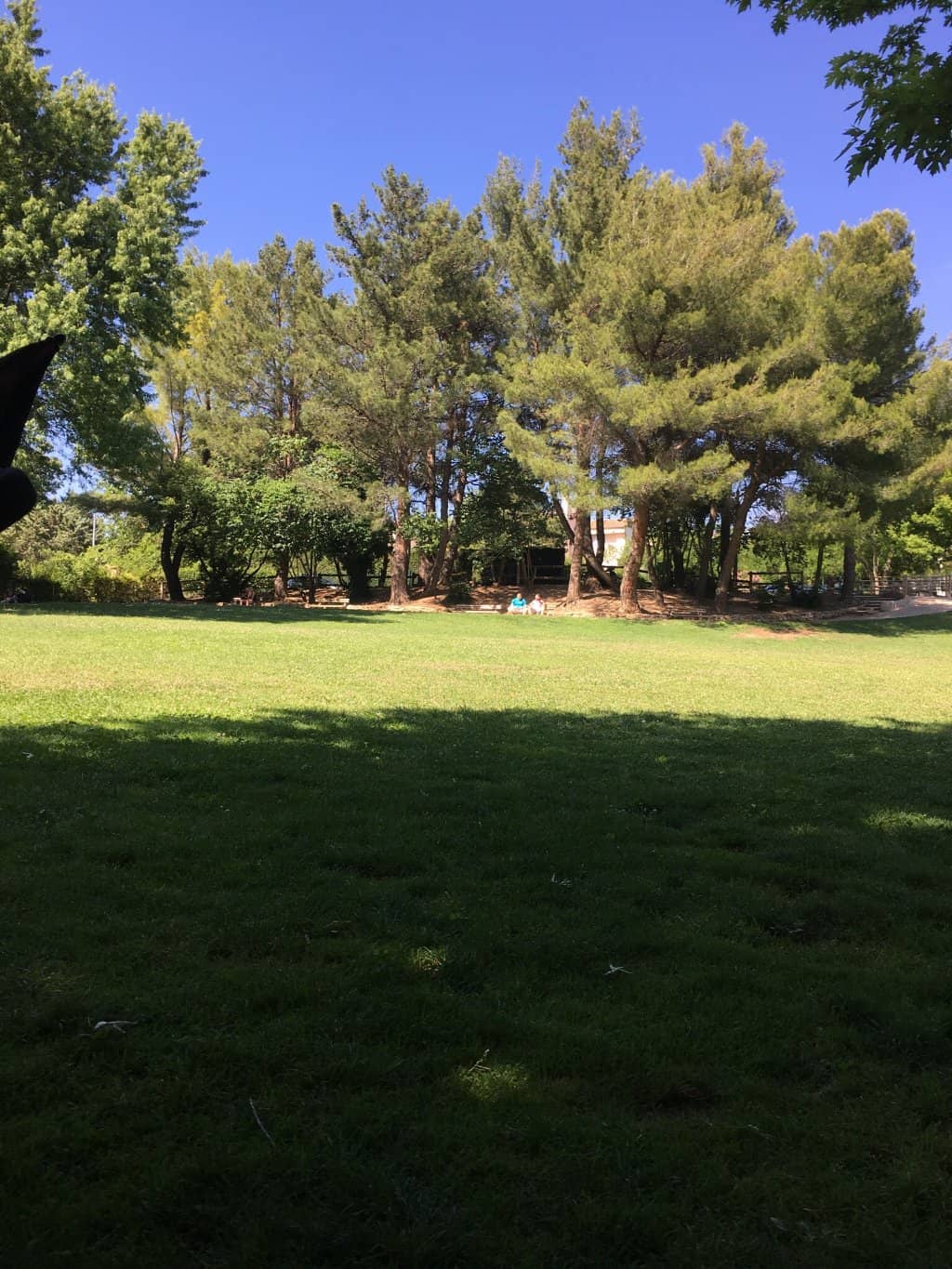Picnic Paradise