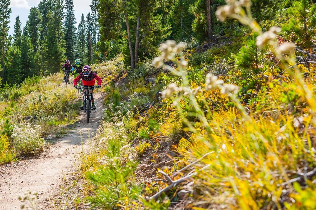 Rainmaker Trail