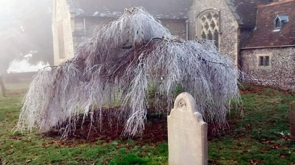 Grave of a Russian Princess