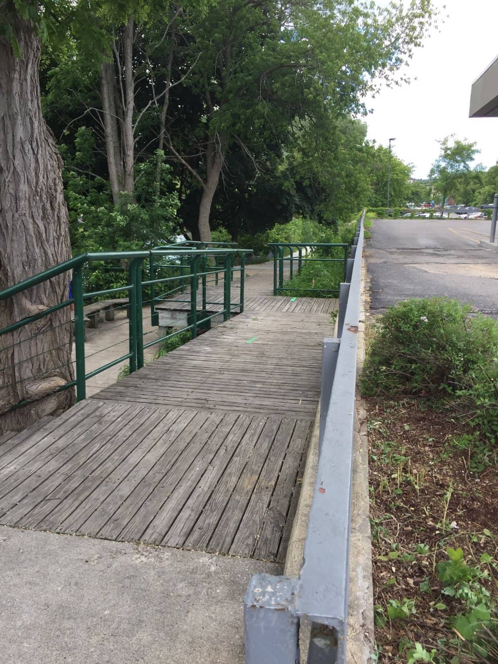 Boardman River Boardwalk