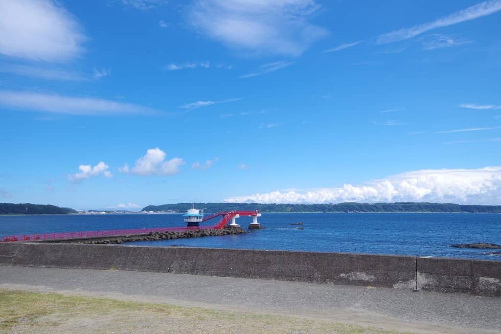Glass-Bottom Boat Tours