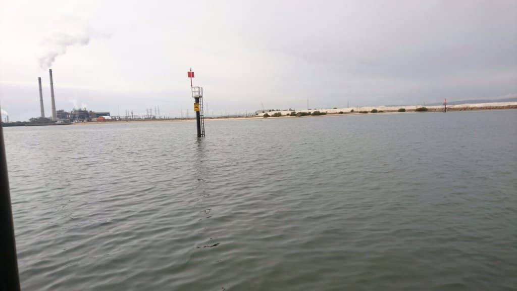 Kayaking Through Mangroves