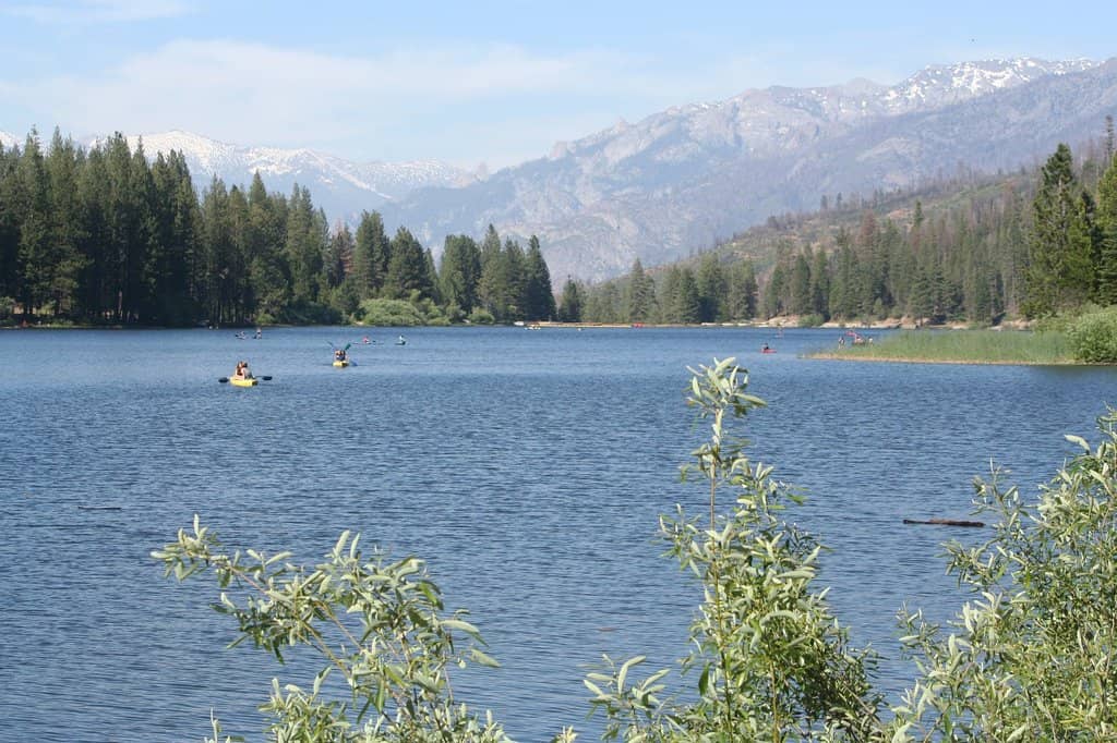 Scenic Hiking Trails