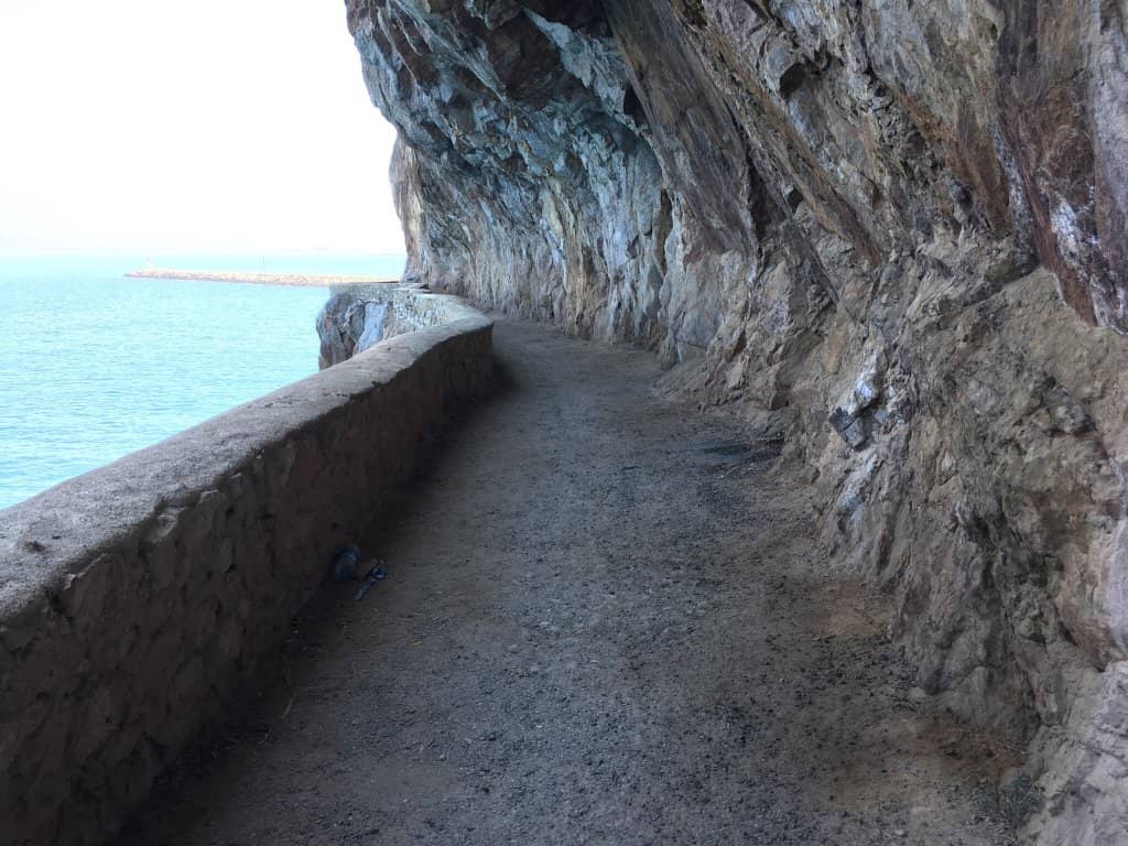 Vertical photo