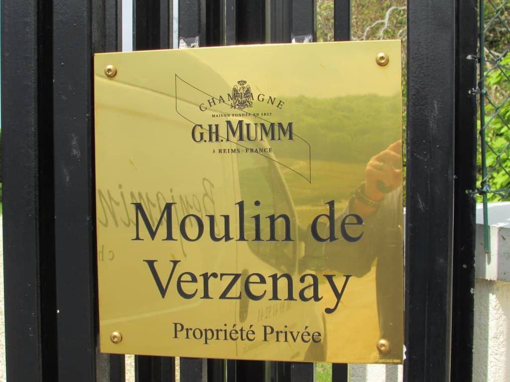 Panoramic Vineyard Vistas