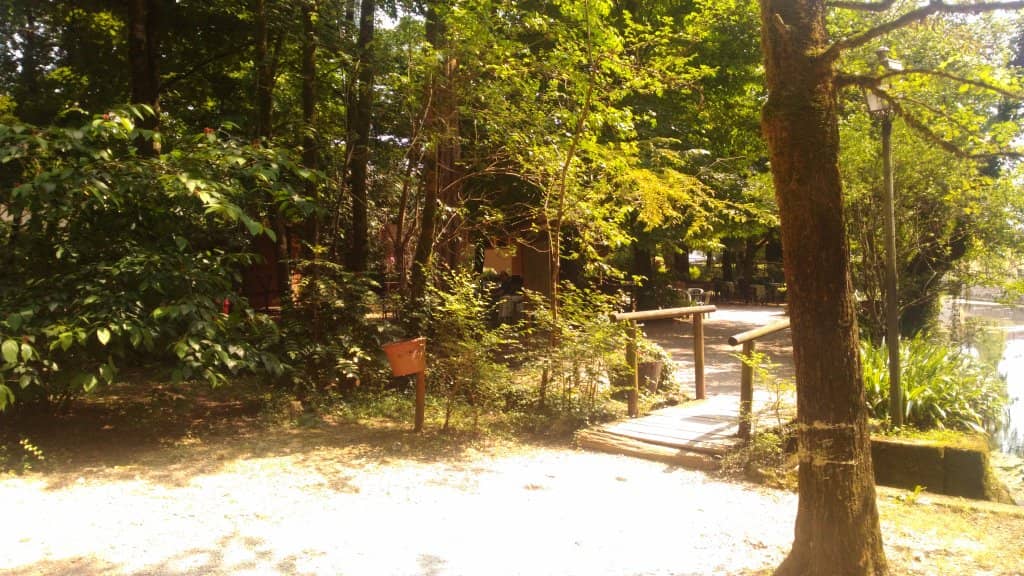 Sunlight Reflections